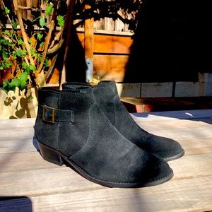 Steve Madden Black Suede Ankle Boots